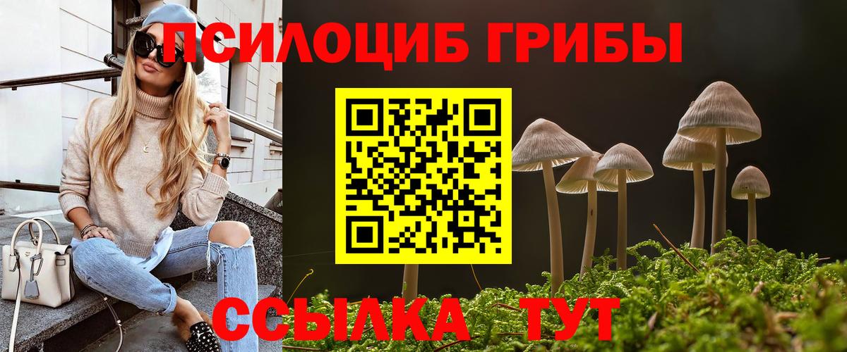 Псилоцибиновые грибы прущие грибы Саранск