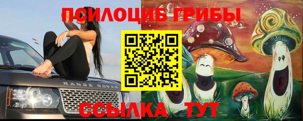 Саранск  Галлюциногенные грибы GOLDEN TEACHER  Вход с VPN 